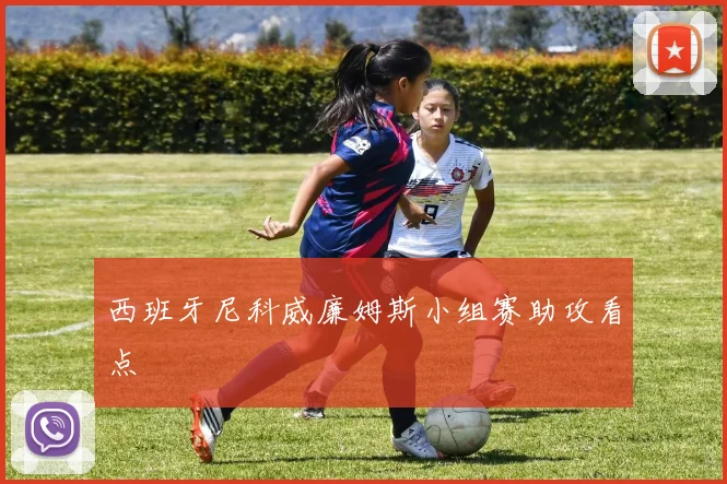 西班牙尼科威廉姆斯小组赛助攻看点
