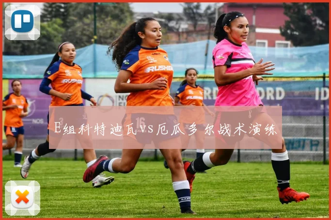 E组科特迪瓦vs厄瓜多尔战术演练