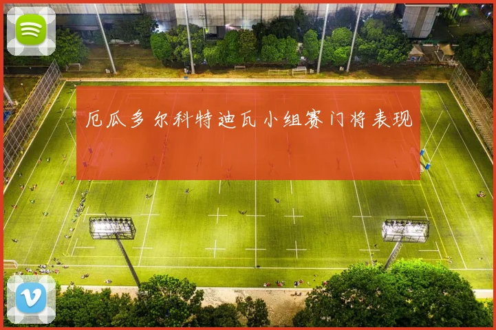 厄瓜多尔科特迪瓦小组赛门将表现