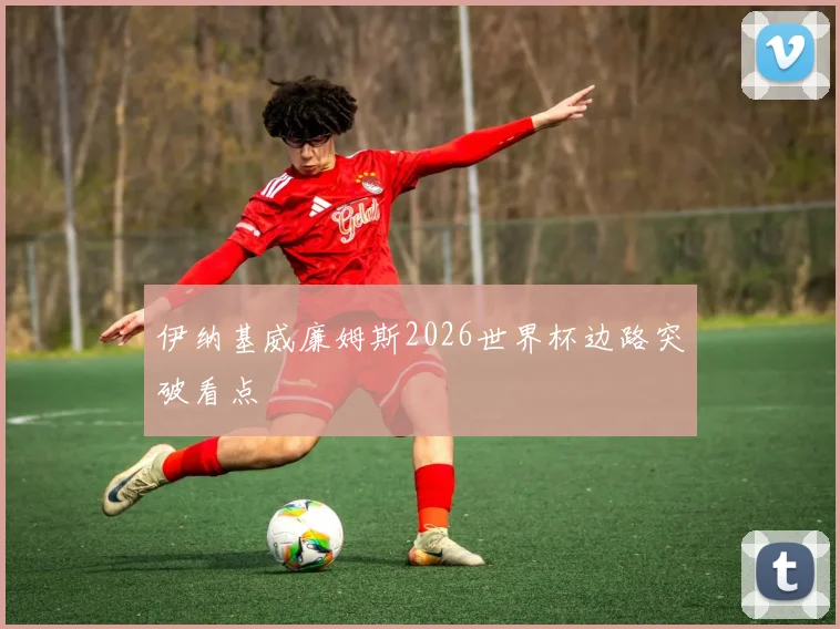 伊纳基威廉姆斯2026世界杯边路突破看点