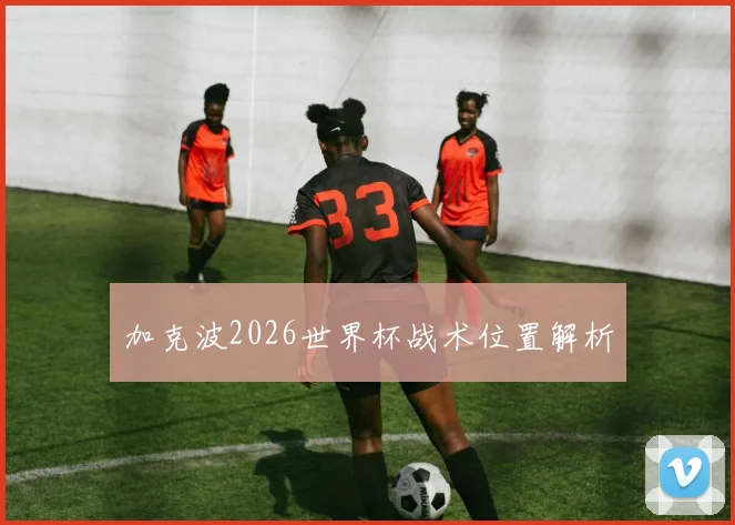 加克波2026世界杯战术位置解析