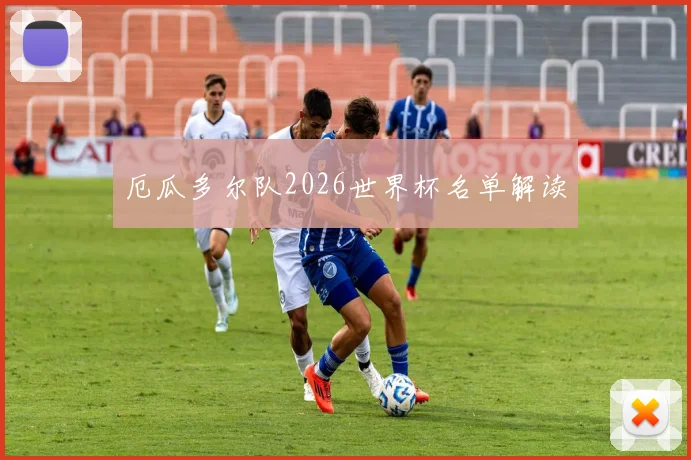 厄瓜多尔队2026世界杯名单解读