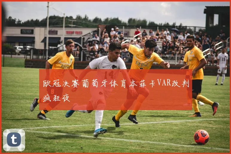 欧冠决赛葡萄牙体育本菲卡VAR改判疯狂夜