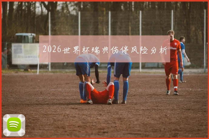 2026世界杯瑞典伤停风险分析