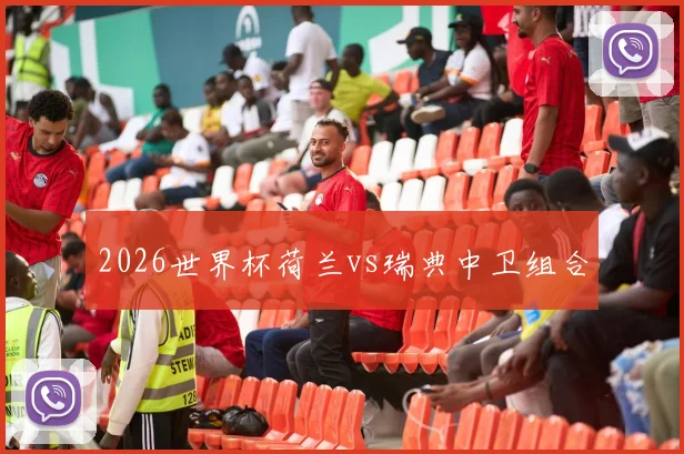 2026世界杯荷兰vs瑞典中卫组合