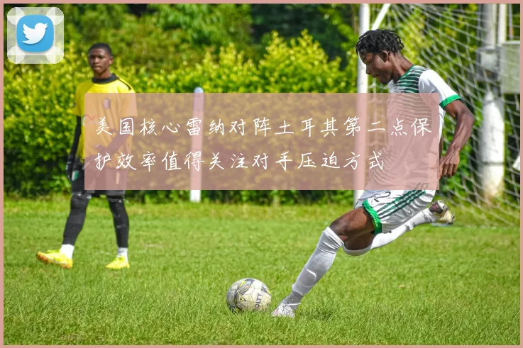 美国核心雷纳对阵土耳其第二点保护效率值得关注对手压迫方式