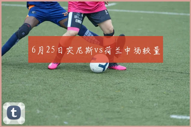 6月25日突尼斯vs荷兰中场较量