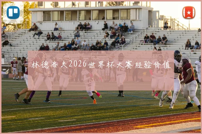 林德洛夫2026世界杯大赛经验价值