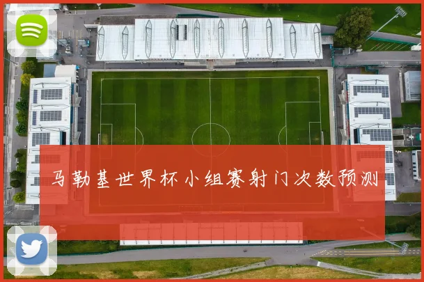 马勒基世界杯小组赛射门次数预测